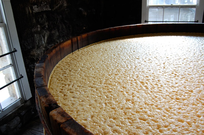 Open and closed fermentation beer
