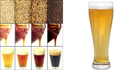 Which beer tastes better